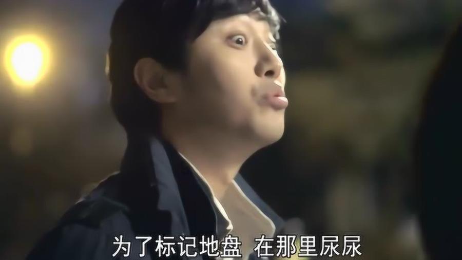 爱吃的鱼